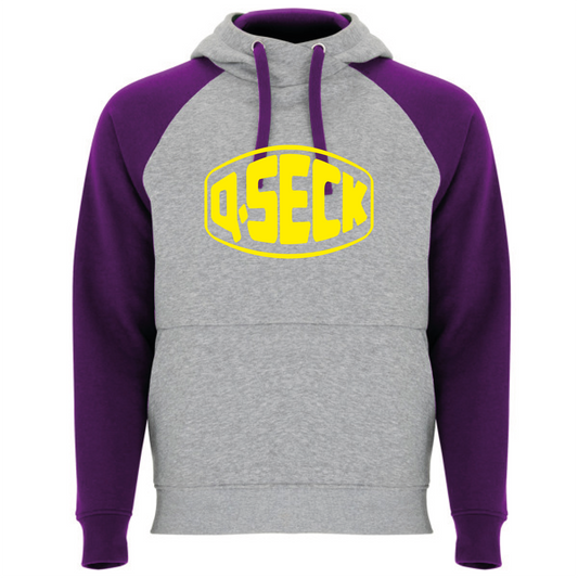 SWEAT CAPUCHE QSECK GREY/PURPLE